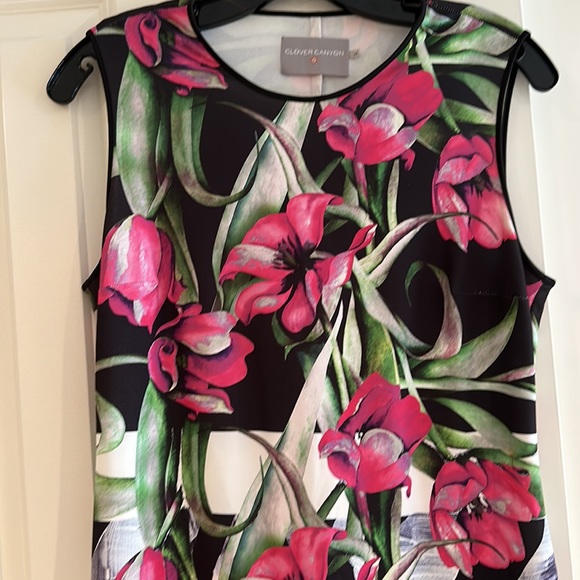 Clover canyon rose stripe dress - Picture 3 of 8